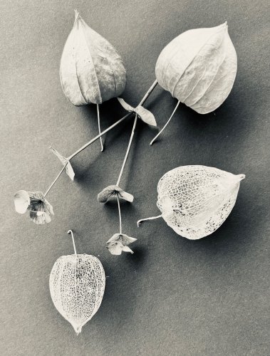 Still09