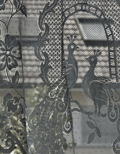Still10