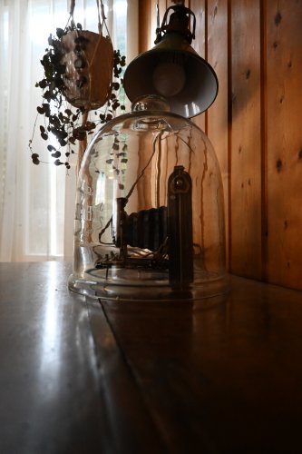 Still16