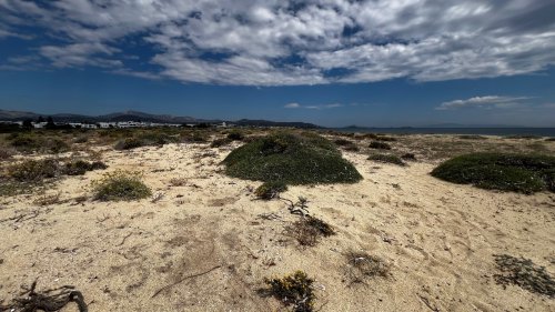 Landschaft10