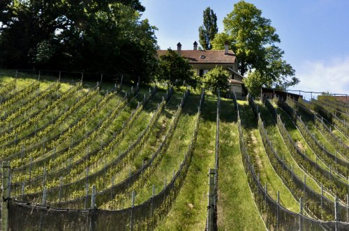 Landschaft14
