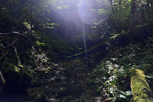 Landschaft15