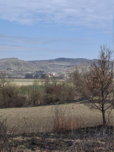 Frühling10